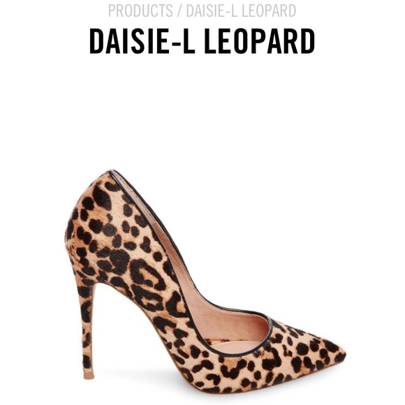 Steve Madden daisy leopard - Picture 1 of 7